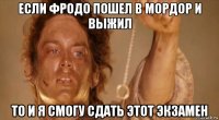 если фродо пошел в мордор и выжил то и я смогу сдать этот экзамен