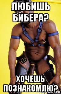 любишь бибера? хочешь познакомлю?