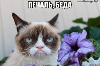 печаль, беда 