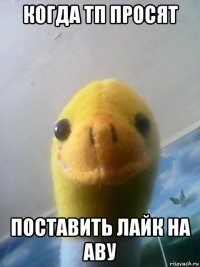 когда тп просят поставить лайк на аву