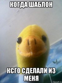когда шаблон ксго сделали из меня
