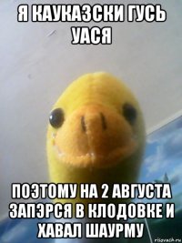 я кауказски гусь уася поэтому на 2 августа запэрся в клодовке и хавал шаурму