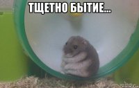 тщетно бытие... 
