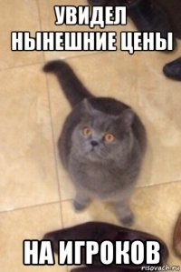 увидел нынешние цены на игроков