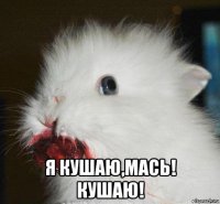  я кушаю,мась! кушаю!