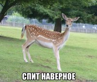  спит наверное