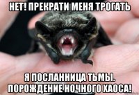 нет! прекрати меня трогать я посланница тьмы. порождение ночного хаоса!