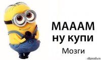 Мозги