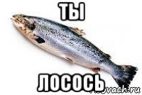 ты лосось