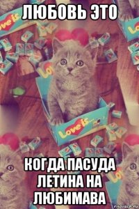 любовь это когда пасуда летина на любимава
