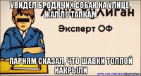 увидел бродячих собак на улице, жал по тапкам парням сказал, что шавки толпой накрыли