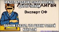увидел бродячих собак на улице, дал по тапкам парням сказал, что шавки толпой накрыли