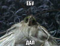 ёбу дал
