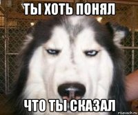 ты хоть понял что ты сказал