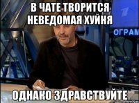 в чате творится неведомая хуйня 