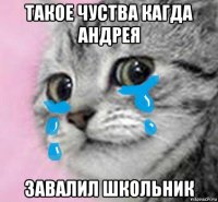 такое чуства кагда андрея завалил школьник
