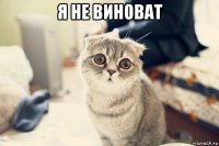 я не виноват 