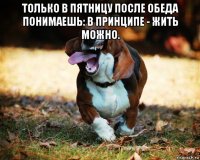 только в пятницу после обеда понимаешь: в принципе - жить можно. 