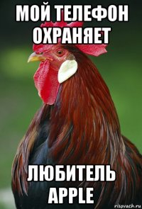 мой телефон охраняет любитель apple