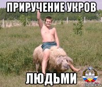 приручение укров людьми