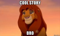 cool story bro