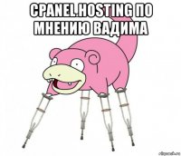 cpanel hosting по мнению вадима 