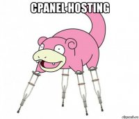 cpanel hosting 