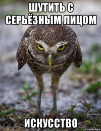шутить с серьёзным лицом искусство