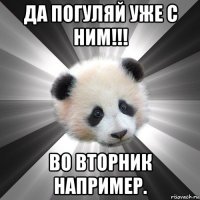 да погуляй уже с ним!!! во вторник например.