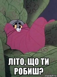  літо, що ти робиш?