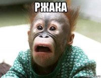 ржака 
