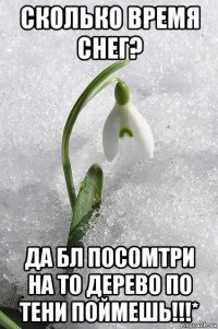 сколько время снег? да бл посомтри на то дерево по тени поймешь!!!*
