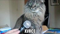  хуясе