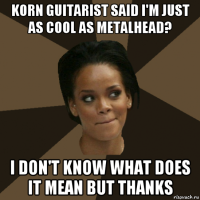 korn guitarist said i'm just as cool as metalhead? i don't know what does it mean but thanks