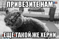 привезите нам еще такой же херни