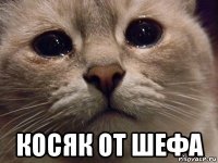 косяк от шефа