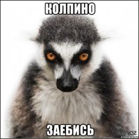 колпино заебись