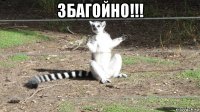 збагойно!!! 