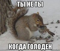 ты не ты когда голоден