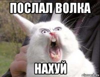 послал волка нахуй