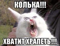 колька!!! хватит храпеть!!!