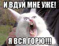 и вдуй мне уже! я вся горю!!!