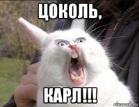 цоколь, карл!!!