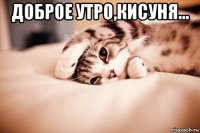 доброе утро,кисуня... 