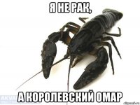 я не рак, а королевский омар