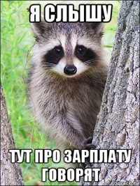 я слышу тут про зарплату говорят