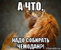 а что, надо собирать чемодан?!