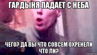 гардыня падает с неба чего? да вы что совсем охренели что ли?