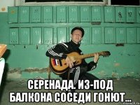  серенада. из-под балкона соседи гонют...
