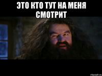 это кто тут на меня смотрит 
